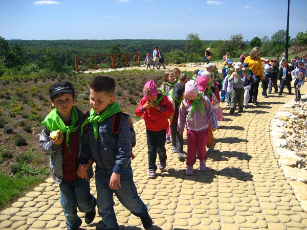 Ogród botaniczny